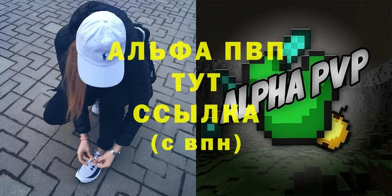 Alfa_PVP СК  закладка  Суджа 