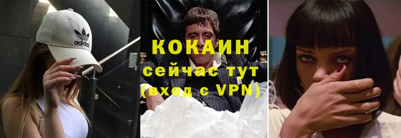 Cocaine Fish Scale  даркнет сайт  Суджа 